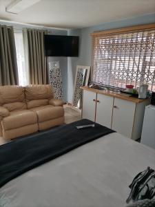 a living room with a bed and a couch at 2 on Haig Accommodation, Selbourne, East London in East London