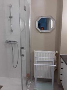 a bathroom with a shower and a mirror on the wall at Les Tilleuls in Ballan-Miré