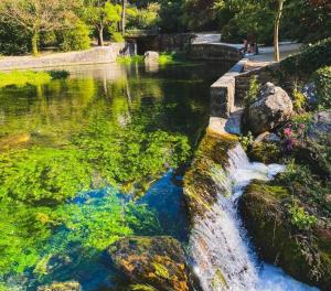 a body of water with green algae and rocks at Maison de campagne en Provence in Noves