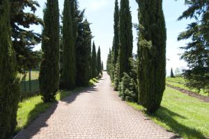 Billede fra billedgalleriet på Hotel Mariano i Gargnano