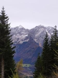 een bergketen met besneeuwde bergen en bomen bij Hike Paradise in Carinthia in Bad Eisenkappel