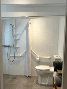 uma casa de banho com um WC e um chuveiro em Domaine Cysaril - Gite 4 étoiles em Talissieu