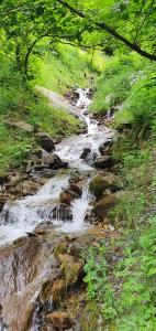 a stream of water on the side of a hill at Fortuna 403 in Leukerbad