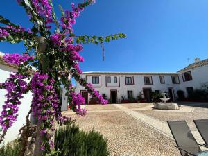 Un árbol con flores púrpuras delante de un edificio en Cortijo Domínguez - Rural Experience, en Lucena