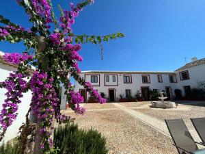 Zahrada ubytování Cortijo Domínguez - Rural Experience