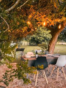 a table and chairs under a tree in a field at Soutelande Eco-Hideaway - 2min Drive to Pristine Beach in Port Elizabeth