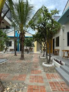 a courtyard with palm trees and a pathway at Color Inn - Homestay & Cafe in Ninh Hải