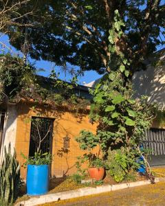 a brick house with two blue pots next to a tree at Micasa Hostel - Congonhas in Sao Paulo