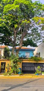 une maison bleue avec un arbre en face dans l'établissement Micasa Hostel - Congonhas, à São Paulo