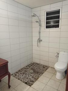 a bathroom with a shower and a toilet at L’Habitation BoisNeuf in La Trinité +6 photos