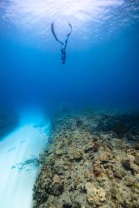 eine Person, die im Ozean neben einem Riff schwimmt in der Unterkunft Empyrean Stay, Maldives in Thulusdhoo