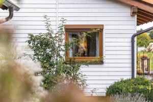 Ein Hund, der aus dem Fenster eines Hauses blickt. in der Unterkunft Ferienhaus Katrin in Bad Urach