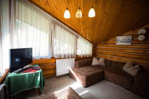 ein Wohnzimmer mit einem Sofa, einem TV und einem Tisch in der Unterkunft Cabana Jasmin in Băile Chirui