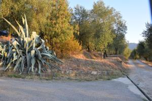 Fotografie z fotogalerie ubytování Da Poldino v destinaci Borgo a Buggiano