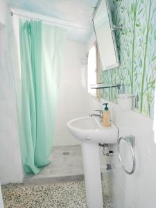 a bathroom with a sink and a green shower curtain at Foresteria San Niccolo' 14 in Prato