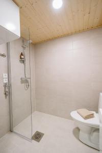 a bathroom with a shower and a toilet at Studio Haarajoki in Järvenpää