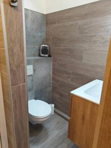 a small bathroom with a toilet and a sink at Gîte La Chevrière in Sougné-Remouchamps +14 photos