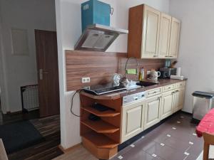 a kitchen with a sink and a stove top oven at Gästewohnung Alt Salbke mit Küche in Magdeburg