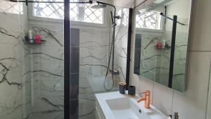 a bathroom with a shower and a sink and a mirror at Escapade blésoise in Blois