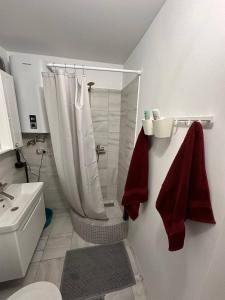 a bathroom with a shower and a toilet and a sink at Comfy apartment in the center in Chişinău