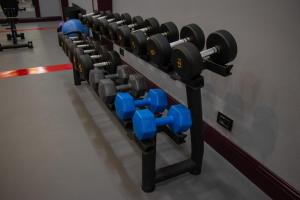 a row of blue dumbbells in a gym at Peramis Hotel & Spa in Antalya