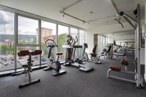Fitness centrum a/nebo fitness zařízení v ubytování Holiday Inn - Tbilisi by IHG