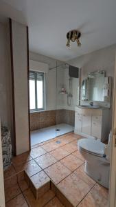 a bathroom with a toilet and a shower in it at Apartamento Jacobo Villar in Valladolid