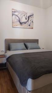 une chambre avec un lit avec un tableau sur le mur dans l'établissement Apartman Vranac, à Zlatibor
