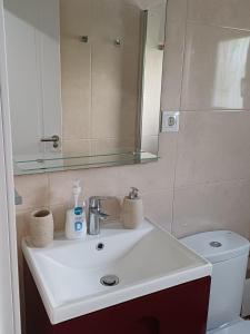 La salle de bains est pourvue d'un lavabo, d'un miroir et de toilettes. dans l'établissement Lyrioshomes Apartamento Filpo Rojas , Sevilla, à Séville