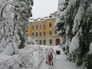 Sächsisches Gemeinschafts-Diakonissenhaus ZION e. V. v zimě