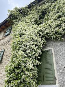 Albinea的住宿－Alloggio con camino nel borgo del castello，一座花朵覆盖的建筑,设有绿门