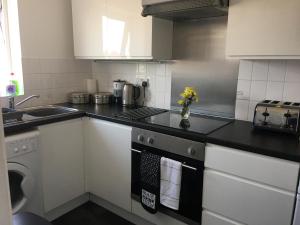 een keuken met een wastafel en een fornuis top oven bij Eaton Ford Green Apartment in Saint Neots