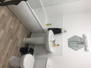 a white bathroom with a toilet and a sink at Eaton Ford Green Apartment in Saint Neots