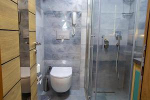 a small bathroom with a toilet and a shower at Peramis Hotel & Spa in Antalya