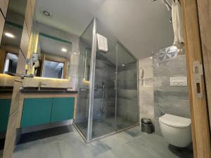 a bathroom with a shower and a toilet and a sink at Peramis Hotel & Spa in Antalya