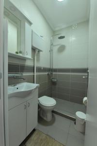 a bathroom with a toilet and a sink and a shower at Prenoćište Dvorište in Novi Sad