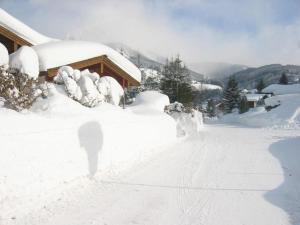 een sneeuwbedekte tuin met een huis met veel sneeuw bij Sonnenseite Filzmoos in Filzmoos