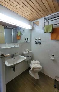 a bathroom with a sink and a toilet at Appartement Nr 11, Fewo in Oberstaufen-Steibis in Oberstaufen