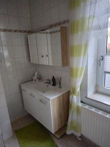 a bathroom with a sink and a shower curtain at Ferienwohnung Romy Müller in Mohlsdorf