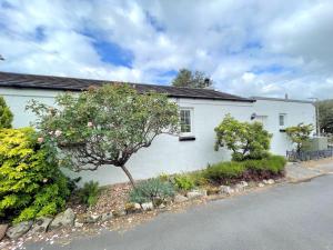 una casa bianca con un albero di fronte di Pass the Keys Traditional Scottish Cottage in Beautiful Location a Rockcliffe