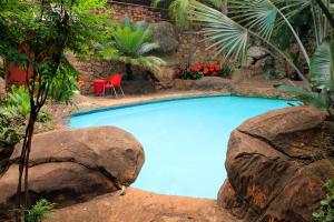 a pool in a garden with a red chair and rocks at Hartbeespoortdam Lodge in Hartbeespoort