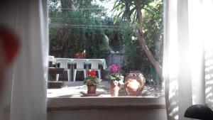 una ventana con vistas a un patio con flores y sillas en Erato, en Atenas