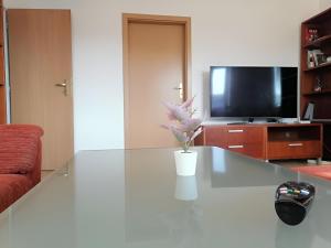 TV at/o entertainment center sa 3 room Apartment near the train station and center