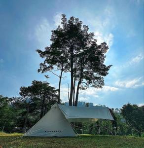 a tent in the grass next to a tree at Moon hill camp in Kampong Egang