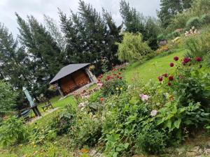 a garden with a small cabin on a hill with flowers at Farcik Apartament in Nowa Wieś