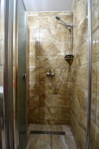 a shower with a glass door in a bathroom at Chata Erika in Pusté Pole