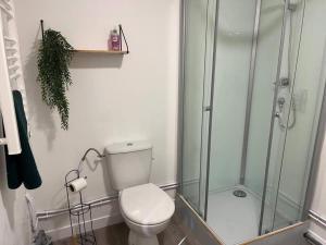 a bathroom with a toilet and a glass shower at Petite maisonnette proche de Giverny in Bonnières-sur-Seine +4 photos