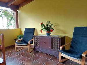 two chairs and a cabinet with a potted plant on it at Casa Tajonaje - Entorno rural in Alajeró +59 photos