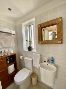 y baño con aseo, lavabo y espejo. en il-Belveder - Historic Home in Victoria Old Town en Victoria