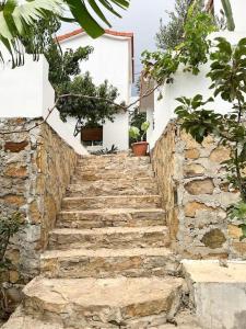 a set of stone stairs in front of a building at Tranquila Vista - Villa au cœur de la nature in Tangier